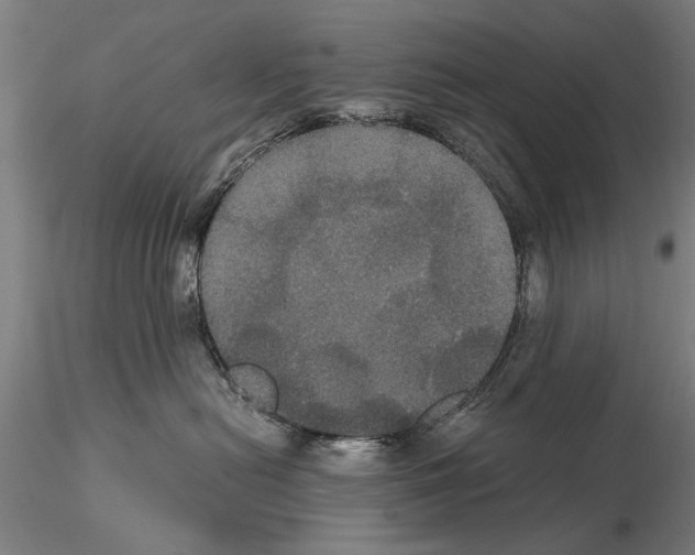 X0000114640478200912011053