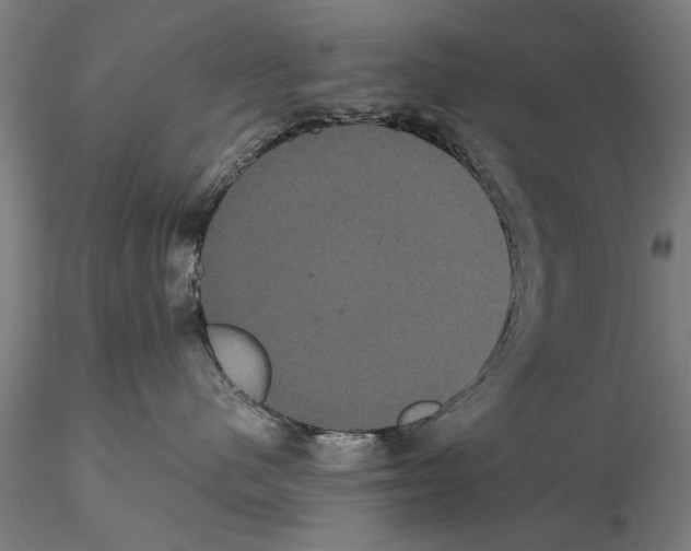 X0000114640480200912011053