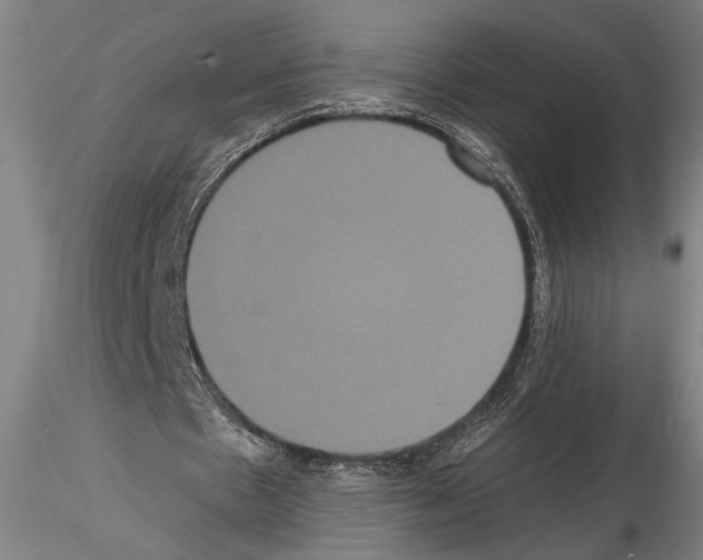 X0000114640481200912011052