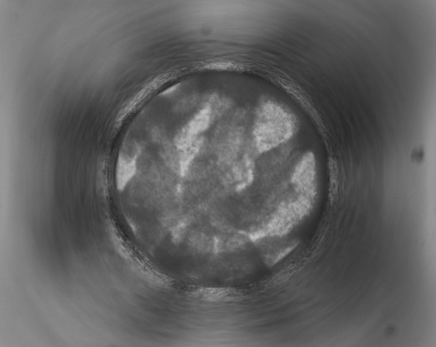 X0000114640482200912011052