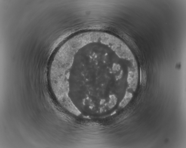 X0000114640483200912011052