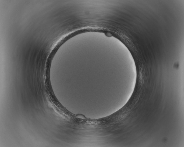 X0000114640484200912011052