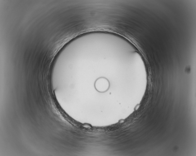 X0000114640485200912011052