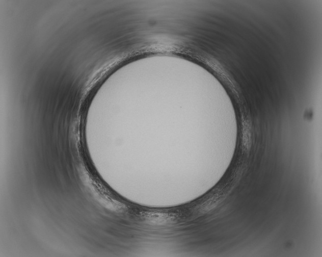 X0000114640486200912011052