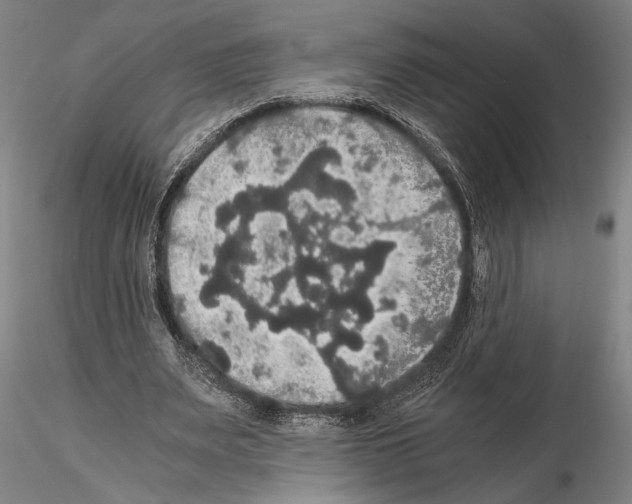 X0000114640487200912011052