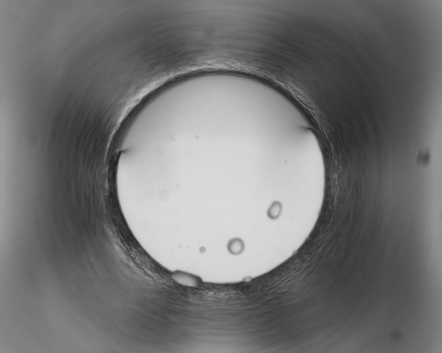 X0000114640488200912011052