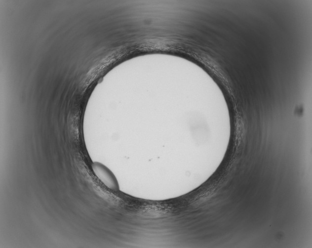 X0000114640489200912011052