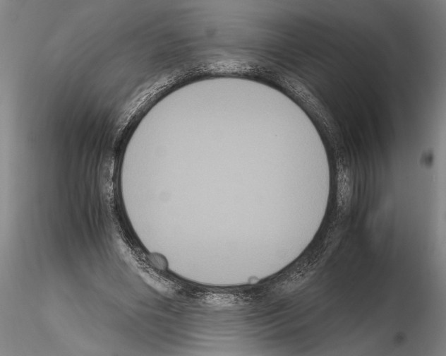 X0000114640490200912011052