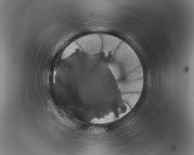 X0000114640491200912011052