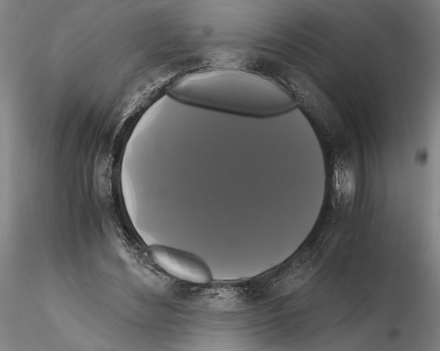 X0000114640492200912011052