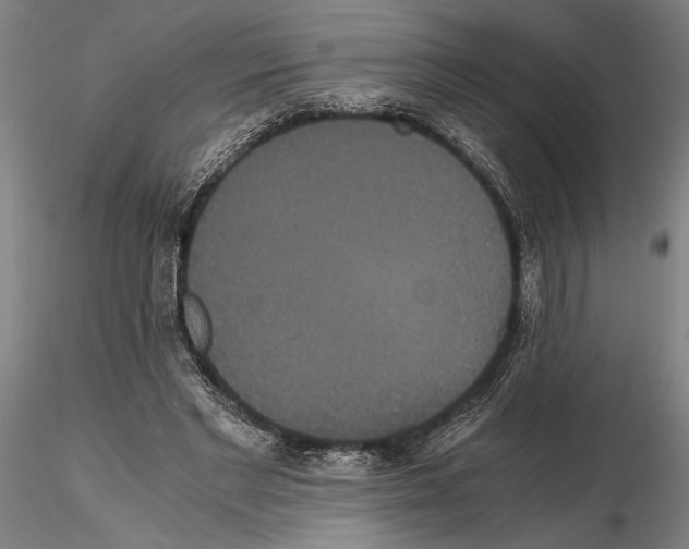 X0000114640493200912011052