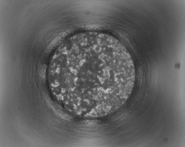 X0000114640495200912011052