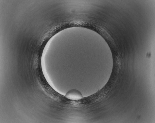 X0000114640496200912011052