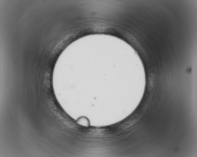 X0000114640497200912011052