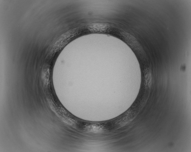 X0000114640498200912011052