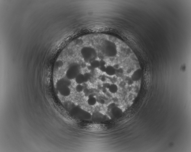 X0000114640499200912011052