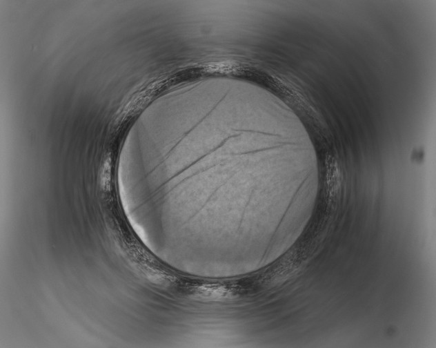 X0000114640502200912011052