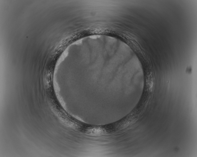 X0000114640503200912011052