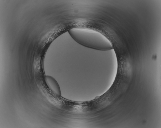 X0000114640504200912011052