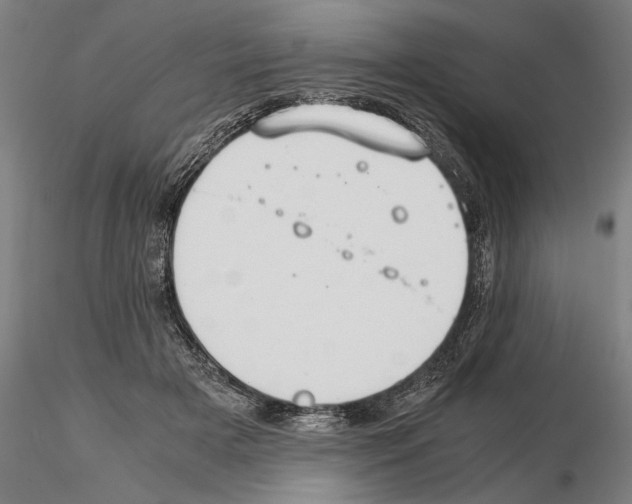 X0000114640505200912011052