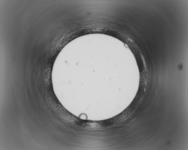 X0000114640509200912011052