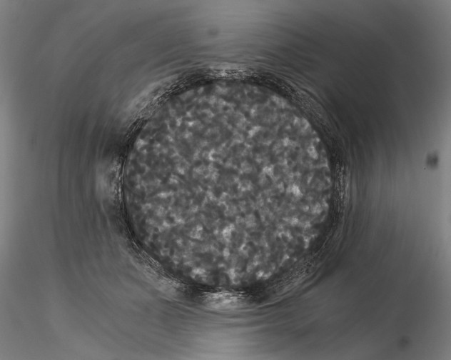 X0000114640511200912011052