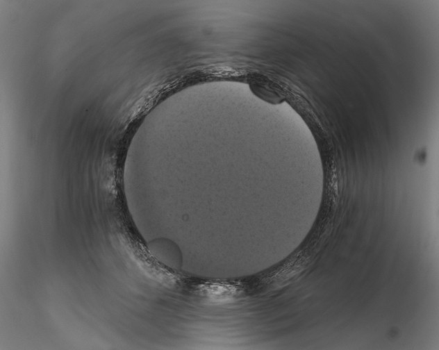 X0000114640512200912011052