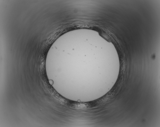 X0000114640513200912011052