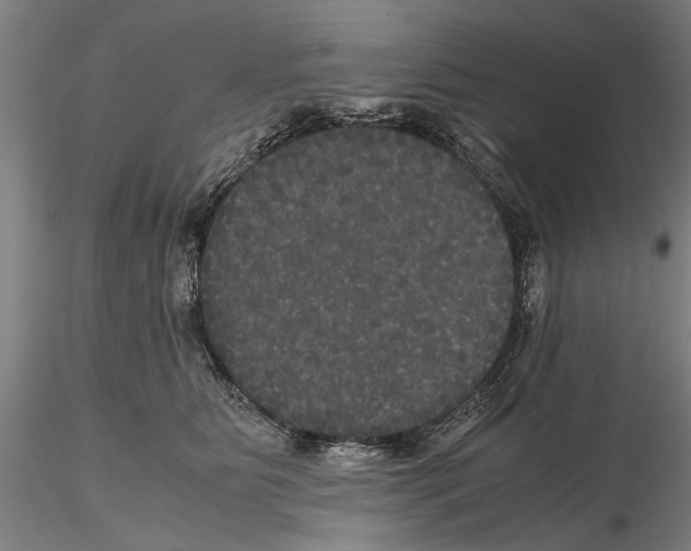 X0000114640515200912011052