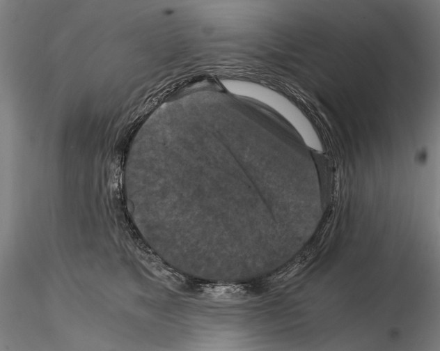 X0000114640517200912011052