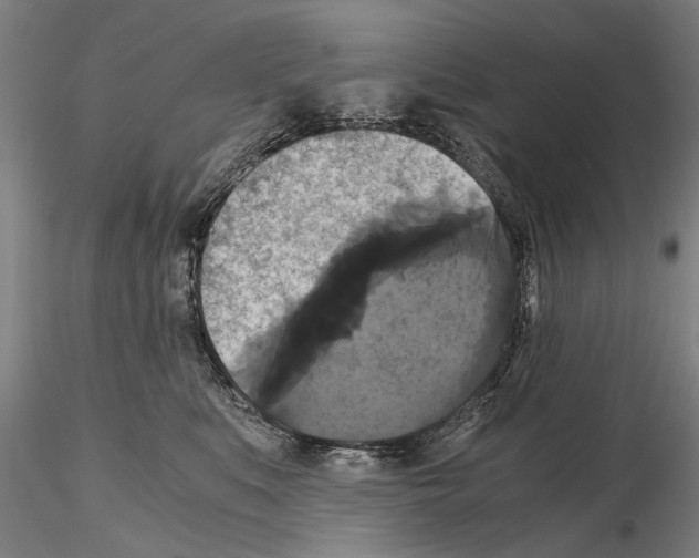 X0000114640519200912011052