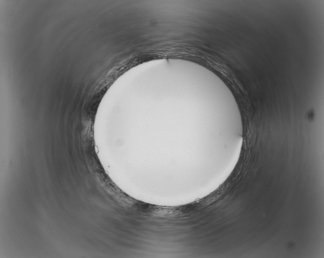 X0000114640521200912011052