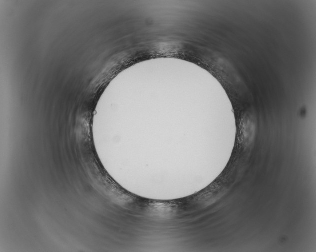 X0000114640522200912011052