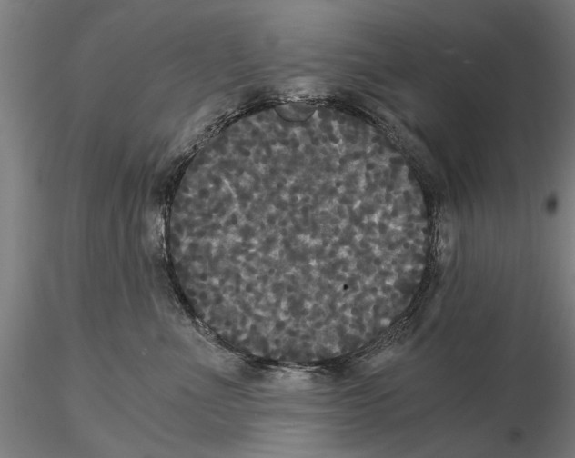 X0000114640523200912011052