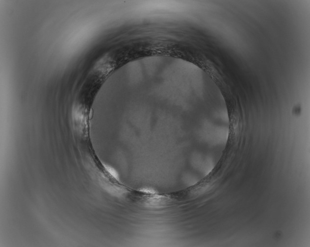 X0000114640527200912011052