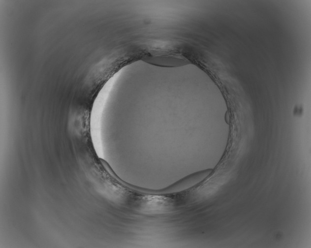 X0000114640528200912011052