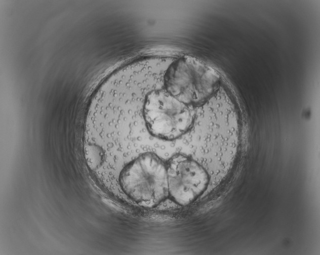 X0000114640529200912011051