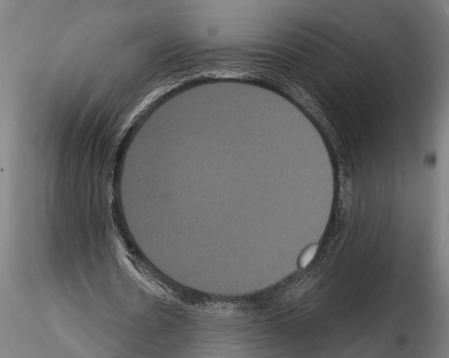 X0000114640530200912011051