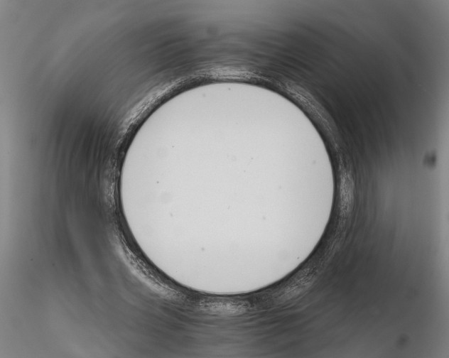 X0000114640533200912011051