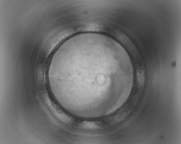 X0000114640534200912011051