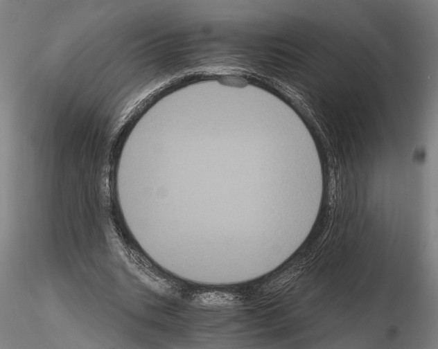 X0000114640535200912011051