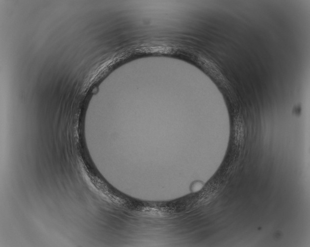 X0000114640538200912011051