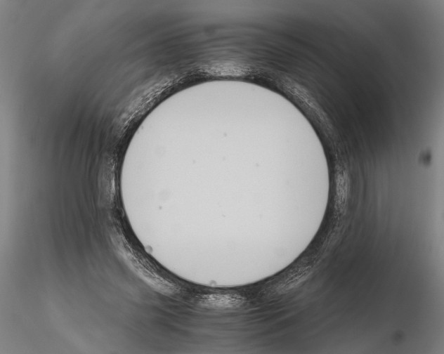 X0000114640541200912011051