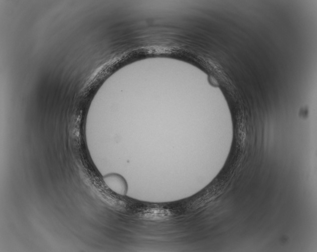 X0000114640543200912011051