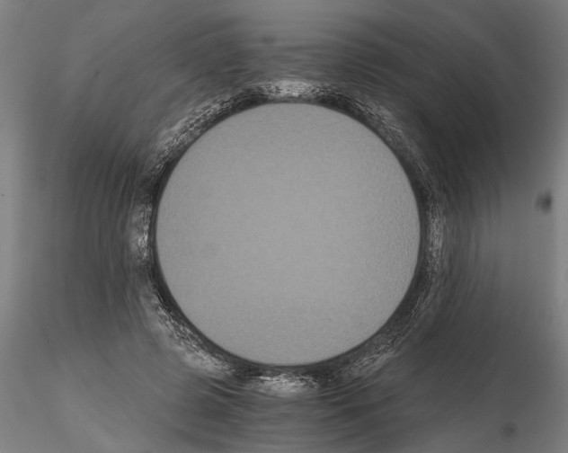 X0000114640545200912011051