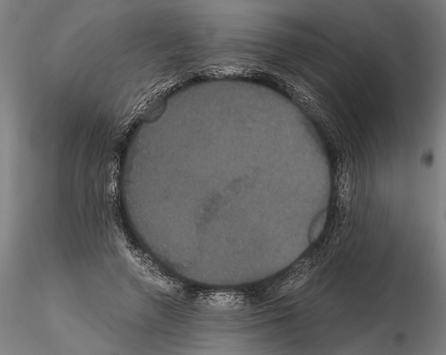 X0000114640546200912011051