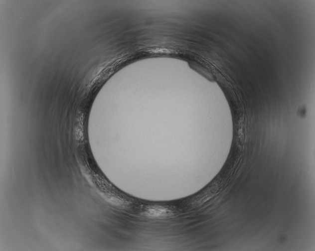 X0000114640547200912011051