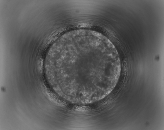 X0000114640550200912011051