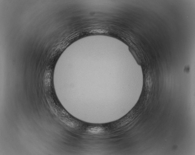 X0000114640551200912011051