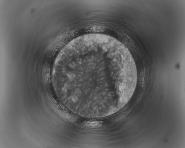 X0000114640553200912011051